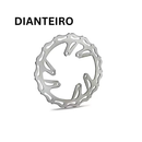 Disco de freio para Honda CRF R/CR  (importada)